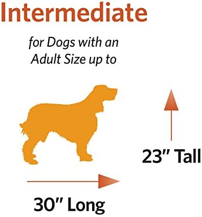 MidWest Homes for Pets 36-Inch LifeStages Crate for Medium-Large Breeds, 41-70 lbs, Double Door Folding Dog Crate with Divider Panel, Leak-Proof Tray & Secure Latch, Heavy-Duty & Easy to Assemble