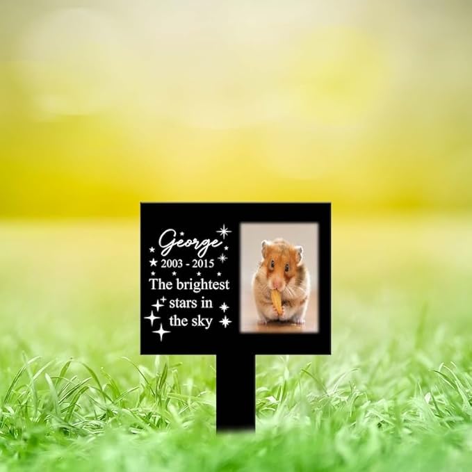 Personalized Hamster Memorial Stake Custom Hamster Photo The Brightest Stars in The Sky Metal 8x8 inch Pet Grave Marker Hamster Loss Gift Sympathy Gift for Hamster Lover (Style 11)