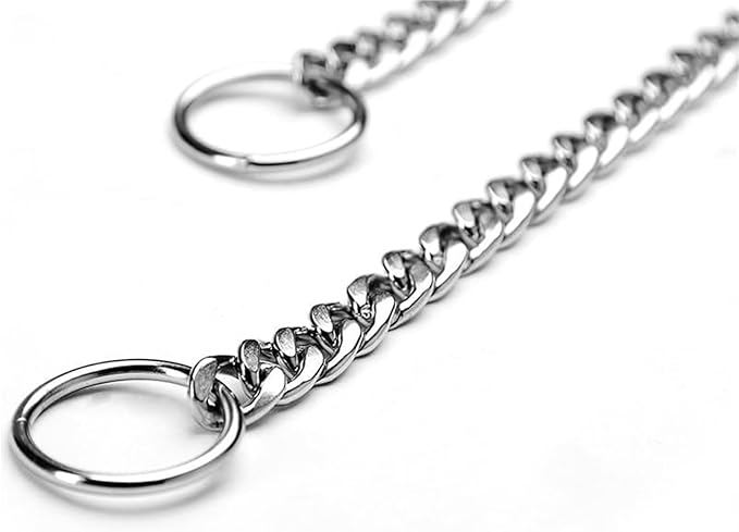 Silver Dog Chain Collar,Metal Slip Link Martingale Dog Collar Heavy Duty Training Dog Collars Boy Girl Puppy Collars for XS Small Medium Large Big Breed Pet,XS