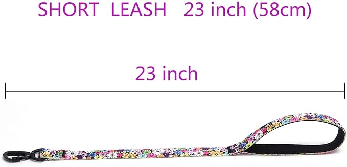 Martingale Dog Collar with Stainless Steel Chain - Limited Chain Cinch Training Collar for No Pull Training Dog - Flower Multicolor Cute Patterns - Premium No Slip Collar (M, White Set)