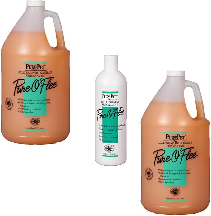 Pure O'Flee Dog and Cat Conditioning Shampoo Concentrate Dilutes 10 to 1 (16 Ounce)