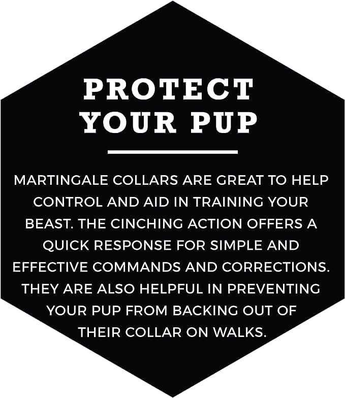 Wolfgang Heavy Duty Martingale Dog Collar with Quick Release Nylon Buckle for Walking & Training, MarbleSwirl Print, X-Large