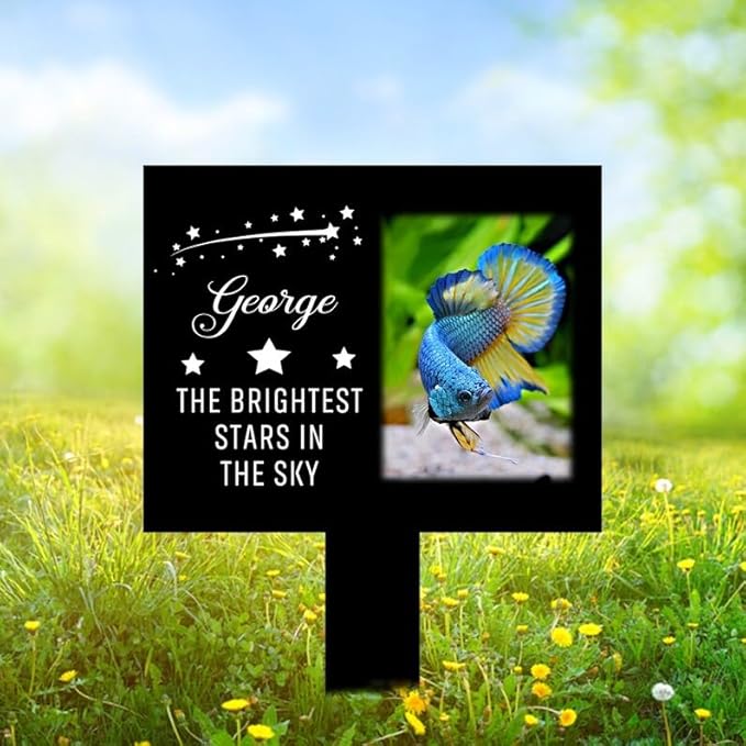 Personalized Fish Memorial Stake Custom Fish Photo The Brightest Stars in The Sky Metal 12x12 inch Pet Grave Marker Fish Loss Gift Sympathy Gift for Fish Lover (Style 2)