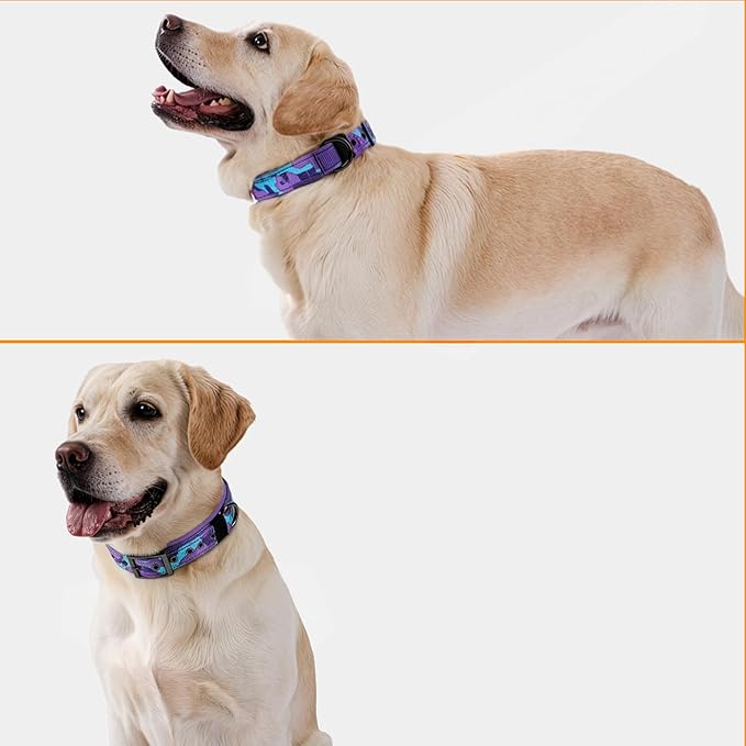 Annchwool Adjustable Dog Collar and 5 FT Leash Set with Heavy Duty Metal Buckle–Comfortable Lining Collar & Dual-Handles for Medium Large Dogs Walking, Running,Car Travel (Camo Purple Set,M:16''-21'')
