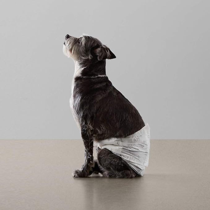 Amazon Basics Leak-Proof, Super Absorbent Male Dog Diapers with Wetness Indicator, Comfortable Design, Breathable Disposable Wrap, Secure Fit, Small, 30 Count