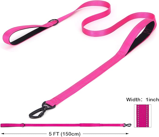 Martingale Dog Collar with Stainless Steel Chain and Leash Set, Martingale Collar with Reflective, 5FT Double Handle Dog Leash Padded, Adjustable for Medium Large Dogs (S, Teal)