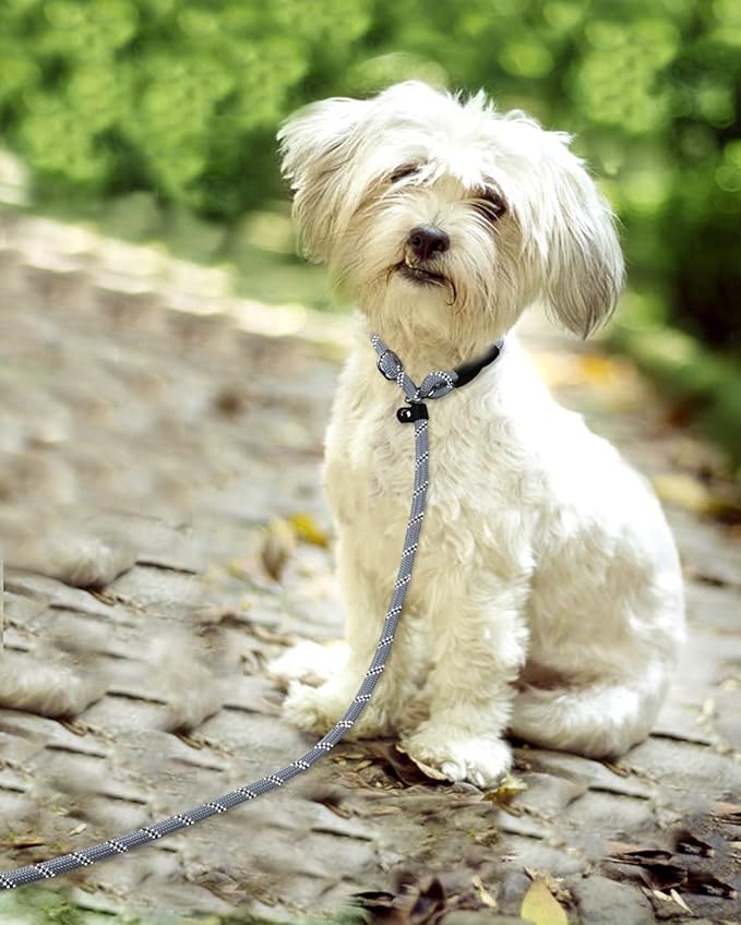 TagME Slip Leads for Dogs that Pull, 6 FT No-Pull Training Leash with Lock, Escape-Proof Design, Reflective & Padded Handle for Small Dogs, Gray