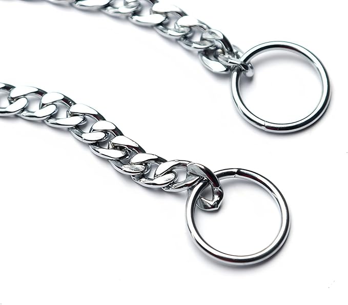 Flat Chain Choker Collar for Dogs, Metal Slip P-Link Training Heavy Duty Dog Choke Collar Puppy Collars for Small Medium Large Big XL Breed Dogs, Silver XL