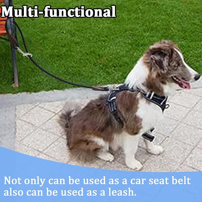 MayPaw Training Tie Down- Short Dog Tether Indoor- Strong Rope Dog Car Leash Seat Belt- 5 Sizes Vehicle Safety Restraint Lead for Small Medium Large Dogs, 33 Inch