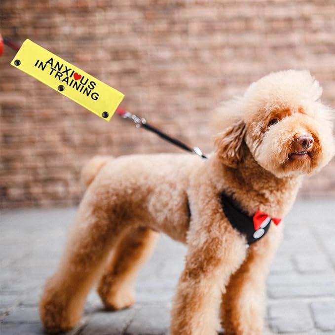 JXGZSO in Training Nervous Anxious Dog Leash Sleeve Dot Not Pet Working Dog Leash Sleeve Service Dog Leash Wrap (Anxious in Train DLS)