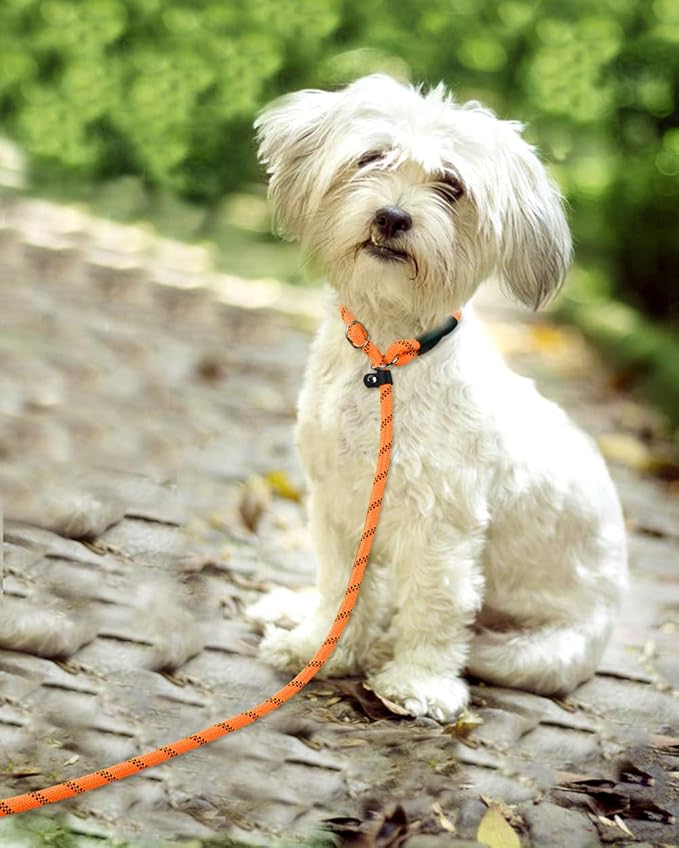 TagME Slip Leads for Dogs that Pull, 6 FT No-Pull Training Leash with Lock, Escape-Proof Design, Reflective & Padded Handle for Small Dogs, Orange