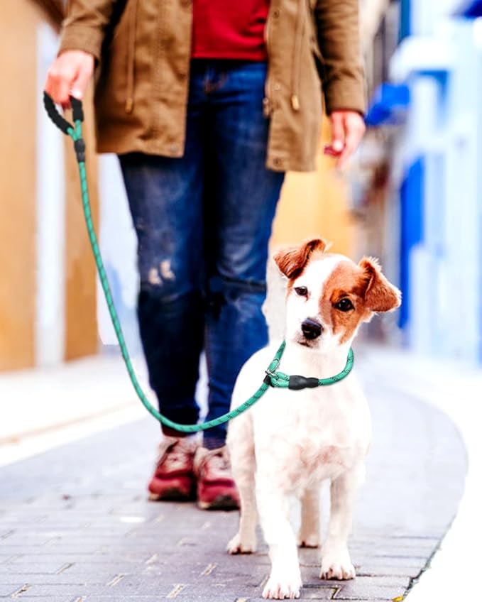 TagME Slip Leads for Dogs that Pull, 6 FT No-Pull Training Leash with Lock, Escape-Proof Design, Reflective & Padded Handle for Small Dogs, Turquoise