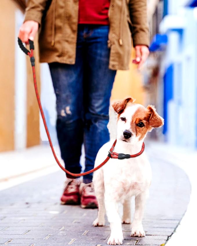TagME Slip Leads for Dogs that Pull, 6 FT No-Pull Training Leash with Lock, Escape-Proof Design, Reflective & Padded Handle for Small Dogs, Red