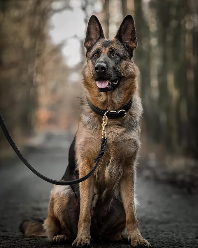 FAIRWIN Leather Dog Leash 6 Foot - Braided Military Grade Heavy Duty Dog Leash for Large Medium Small Dogs Training and Walking (Black, S:1/2" x 6ft)