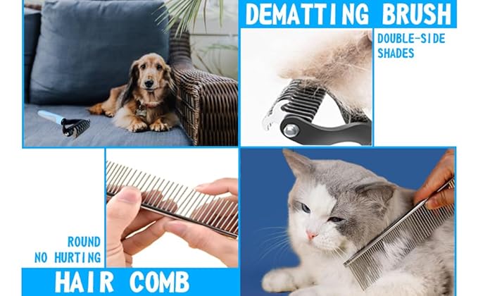Pet Grooming Kit with Brushes, Grooming Loop Leash, Apron, Dematting Comb, Slicker Brush, Dog Bath Brush - Blue - For Short Haired Dogs