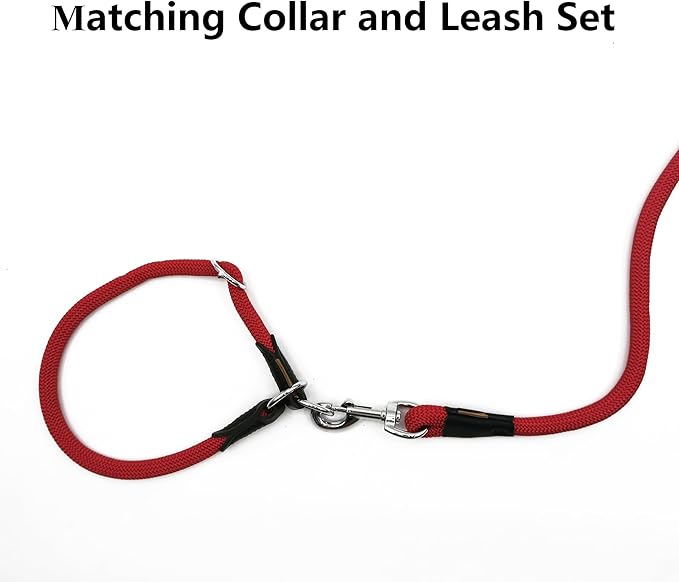 Dog Leash, Braided Rope Traction – Walking Training Lead for Medium/Large Dogs ((1/2") x 2FT, Red)