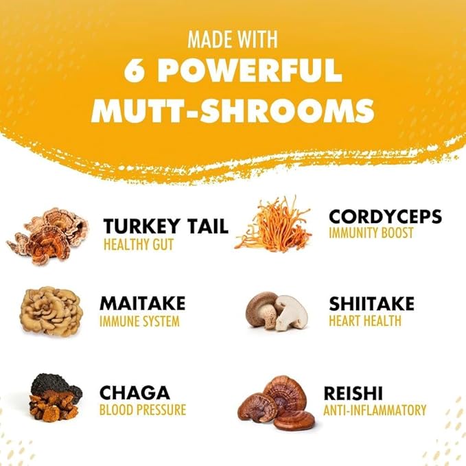 iHeartDogs Turkey Tail Mushroom for Dogs for Lumps, Bumps & Lipomas with Bone Broth and 6 Mushroom Blend Powder