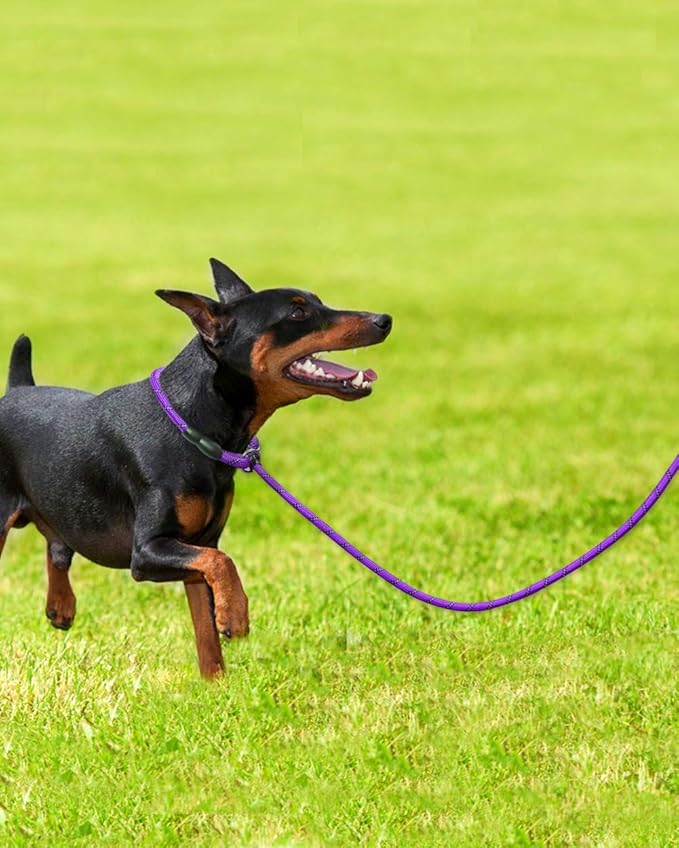 TagME Slip Leads for Dogs that Pull, 6 FT No-Pull Training Leash with Lock, Escape-Proof Design, Reflective & Padded Handle for Small Dogs, Purple