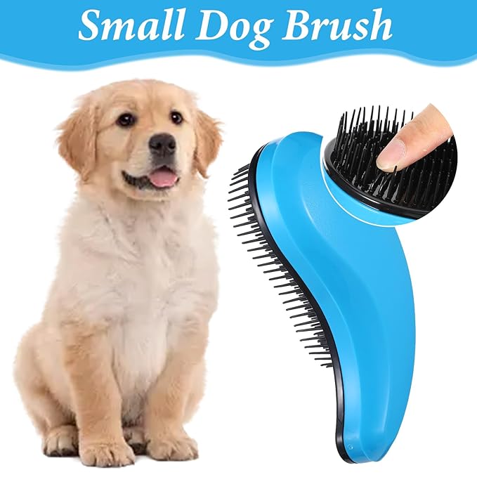 Small Dog Brush Puppy Brush for Small Dogs Portable Puppy Brush Grooming Tool Reduces Shedding & Tangles for Shih Tzu, Yorkie, Teddy, Chihuahua (Blue)