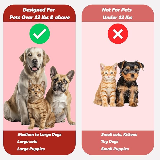 Pet Toothbrush for Dogs, Cats with Soft Bristles - Easy Teeth Cleaning & Dental Care, Non Slip Dual Head Dog Toothbrush for Medium & Large Pets, Toothpaste Not Included (Pack of 2(Red))