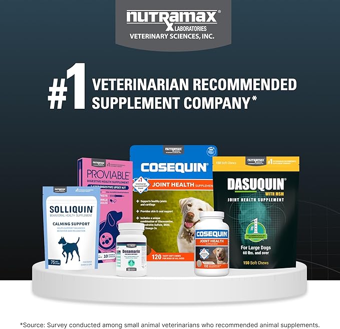 Nutramax Dasuquin for Large Dogs, Joint Health Supplement, Contains Glucosamine for Dogs, Plus Chondroitin, ASU, MSM and More, Supports Healthy Joints, Chewable Tablets, 150 Count