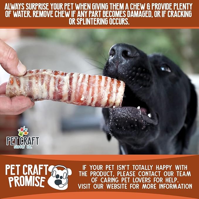 Pet Craft Supply Large 6" Buffalo Trachea Bones Dog Chews Treats 6 Pack for Aggressive Chewers Long Lasting Rawhide Free Premium Slow Roasted for Puppies Small Medium Large Dogs