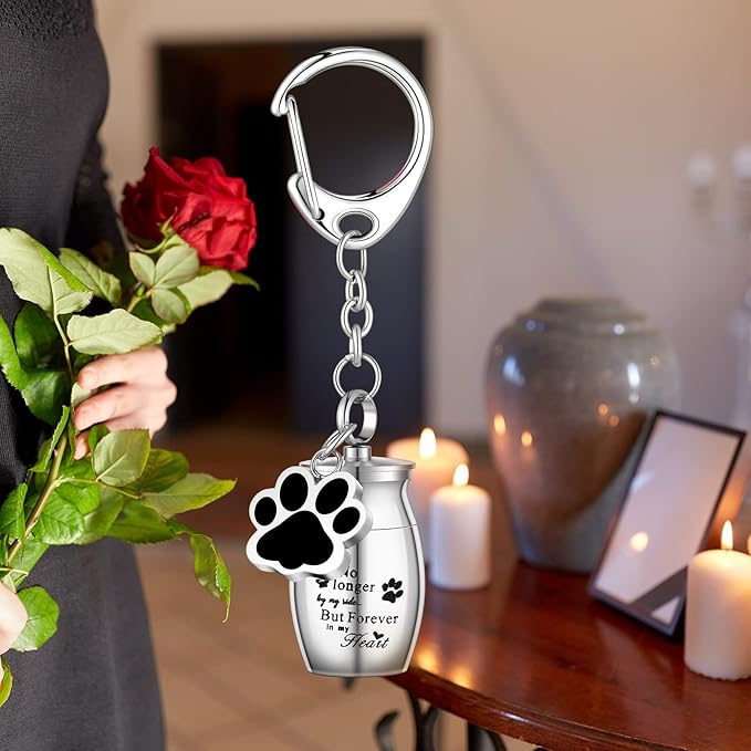 Tudomro Cremation Pet Dog Urns Keychain for Ashes with Storage Bag Stainless Steel Small Cat Paw Memorial Keepsake Jewelry