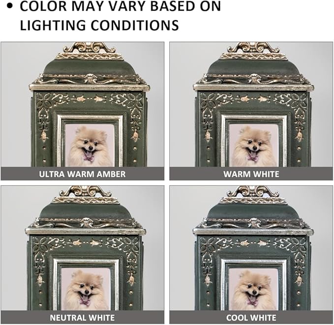 AELS Pet Urn Memory Box for Keepsakes with Photo Slot, Dog Memorial Urns for Ashes, Cat or Dog Cremation Urns, Dark Green