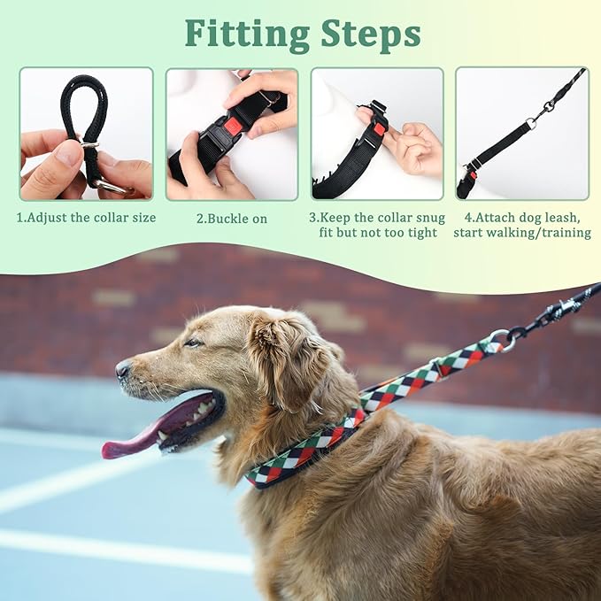 Mayerzon Martingale Dog Prong Collar for Pulling, Personalized Vintage Slip Pinch Collar with Buckle for Large Medium Small Dogs for Walking Training and Festivals(L, Pop Art)