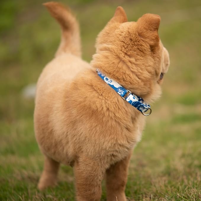 Hyhug Design Pattern Martingale Collar for Small Dogs Escape - Proof| No Pull Durable for Outdoor Use, Ideal for Training & Daily Walks Small Dog Collar (Cloud Dog, XXS)