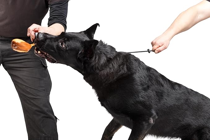 Dingo Gear Choke Collar for Dog Training Handmade of Cord with A Limiter, Waterproof Black S04059, (XS)