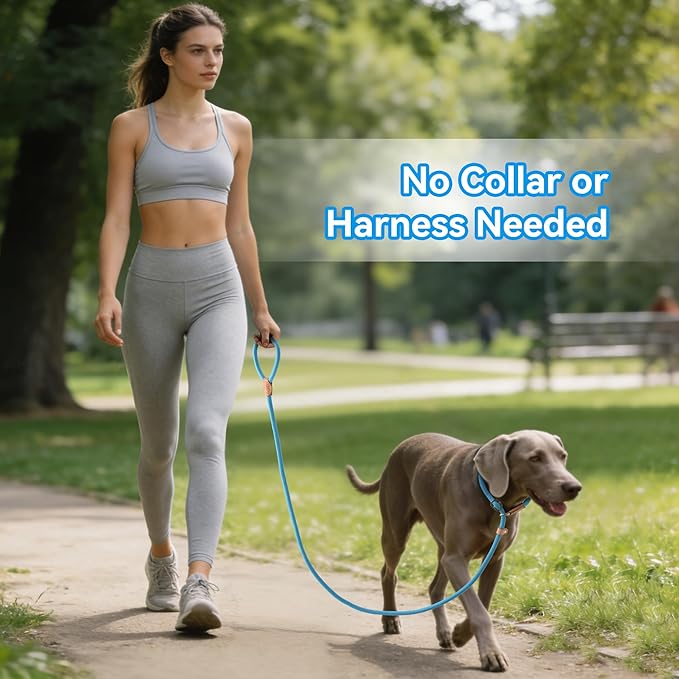 Mile High Life Slip Lead Dog Leash - 4FT, 5FT, 6FT Heavy Duty Rope Leash for No Pull Training, Durable Braided Dog Lead with Leather Stopper & Tip for Medium Large Dogs