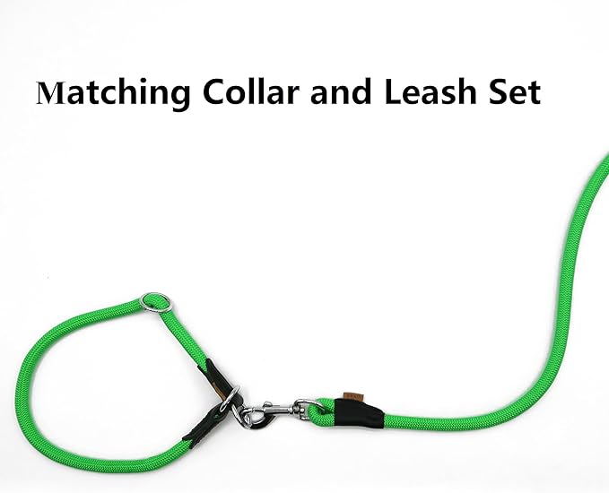 Dog Leash, Braided Rope Traction – Walking Training Lead for Small Dogs ((1/3") x 6FT, Light Green)