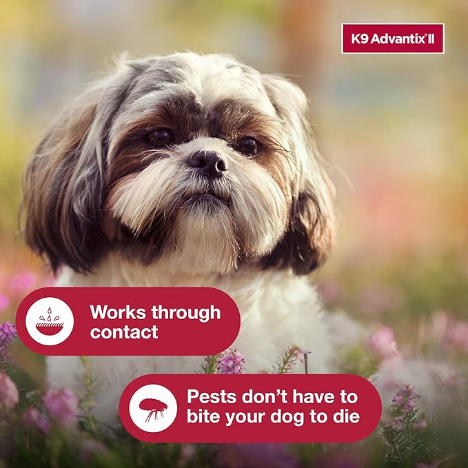 K9 Advantix II Small Dog Vet-Recommended Flea, Tick & Mosquito Treatment & Prevention | Dogs 4-10 lbs. | 3-Mo Supply