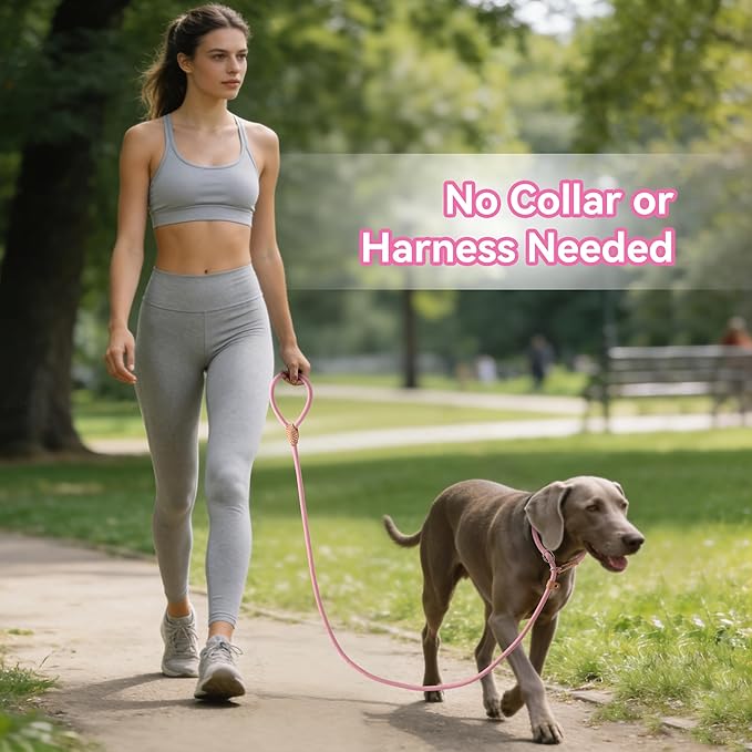 Mile High Life Slip Lead Dog Leash - 4FT, 5FT, 6FT Heavy Duty Rope Leash for No Pull Training, Durable Braided Dog Lead with Leather Stopper & Tip for Medium Large Dogs
