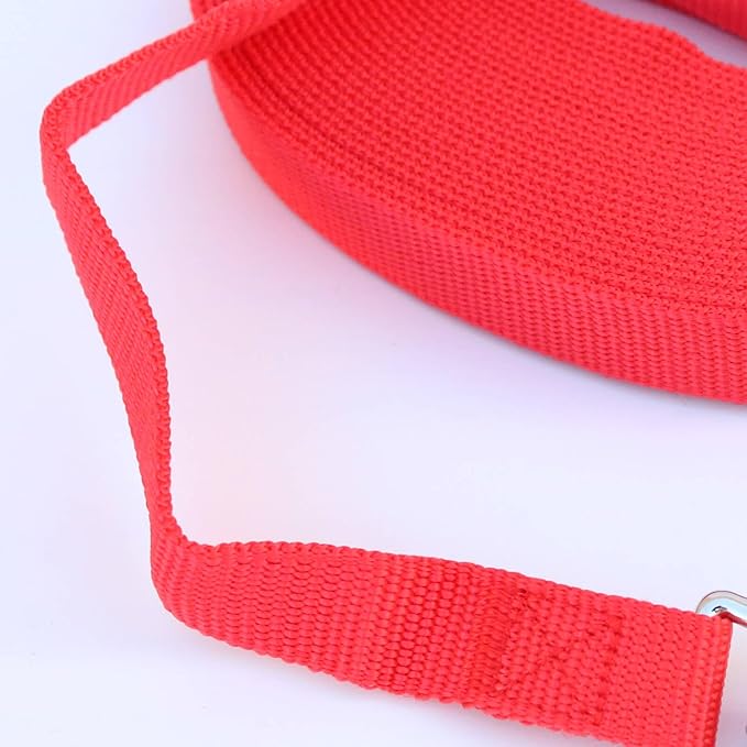 Dog Leash Puppy Obedience Recall Training Agility Lead 50ft, Great for Play, Camping, or Backyard