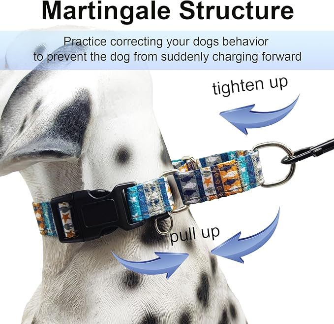 Reflective Martingale Collar with Buckle Shark Starfish Ethnic Stripe Adjustable Designer Dog Collars (Underwater World, Small)