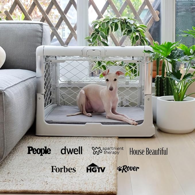 DIGGS Revol Collapsible Dog Crate with Wheels - Premium Portable Dog Crate - Safe, Stylish, and Convenient Indoor Kennel (Ash, Medium)