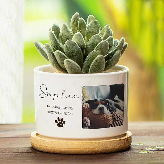 Personalized Dog Memorial Plant Pots for Grieving Pet Owners Personalized Plant Pots Pet Loss Gifts Cat Memorial Gifts Loss of Sympathy Garden or Yard