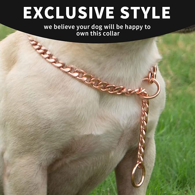 Stainless Steel P Chock Metal Chain -JYHY Dog Necklace Collars Walking Training Pet Supplies for Small Medium Large Dogs (26" (Fits Neck 22" to 24"), Rose Gold