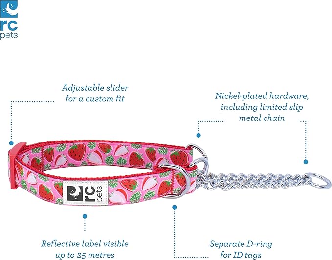 Training Collar | Strawberries, Small