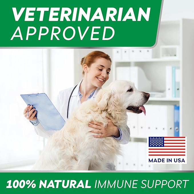 StrellaLab Dog Allergy Relief & Anti Itch Support Chews w/Omega 3: Real Ingredients, Real Taste! Skin & Coat Immune Supplement w/Fish Oil, Pumpkin & Enzymes — Developed by Experts - Made in USA -240Ct