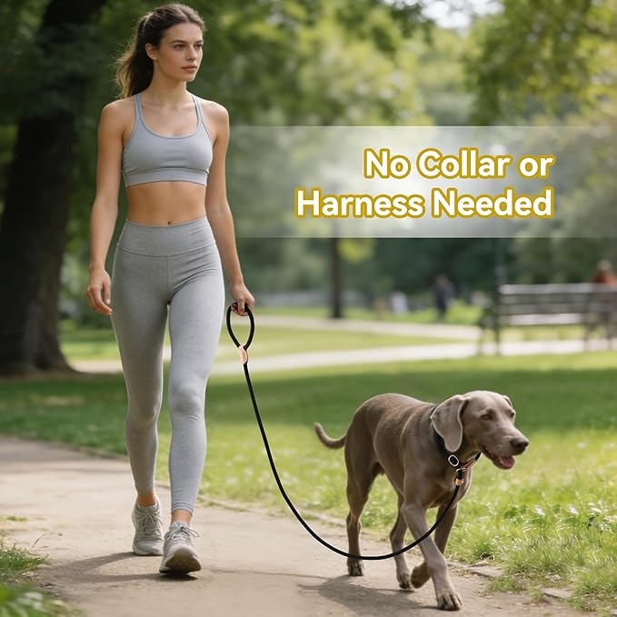 Mile High Life Slip Lead Dog Leash - 4FT, 5FT, 6FT Heavy Duty Rope Leash for No Pull Training, Durable Braided Dog Lead with Leather Stopper & Tip for Medium Large Dogs