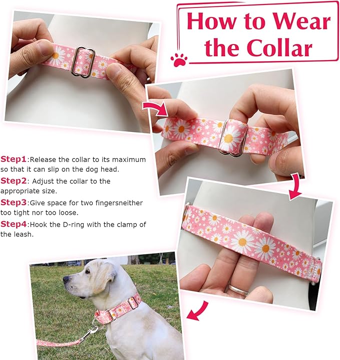 Martingale Collar for Large Dogs, Pink Daisy Martingale Collar Adjustable, No-Slip, Durable, & Soft Webbing Dog Collar for Male and Female Dogs Ideal for Training & Walking