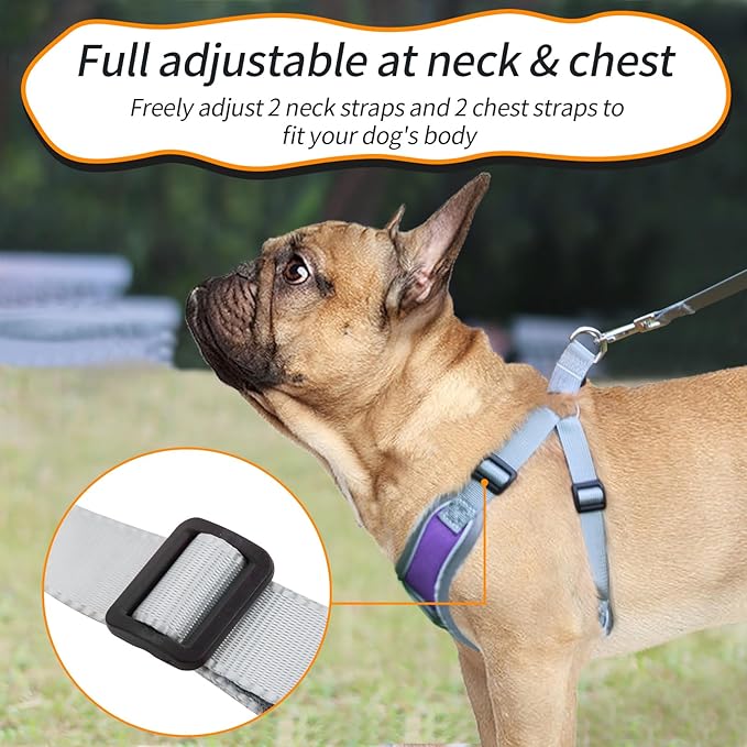 Dog Harness with Leash Set, No Pull Adjustable Step in Collars Harness with Breathable Padded Vest for Small Dogs Training and Running (S, Purple)
