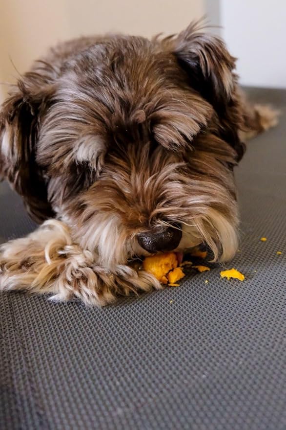 Munchbird Dehydrated Chicken Jerky Wrapped Egg Yolk Dog Treats, high-Protein Dog Food Topper with no fillers. Natural Alternative to Freeze-Dried Quail Egg Yolk. Healthy Dog Treats, 7 oz, 20–30 pcs.