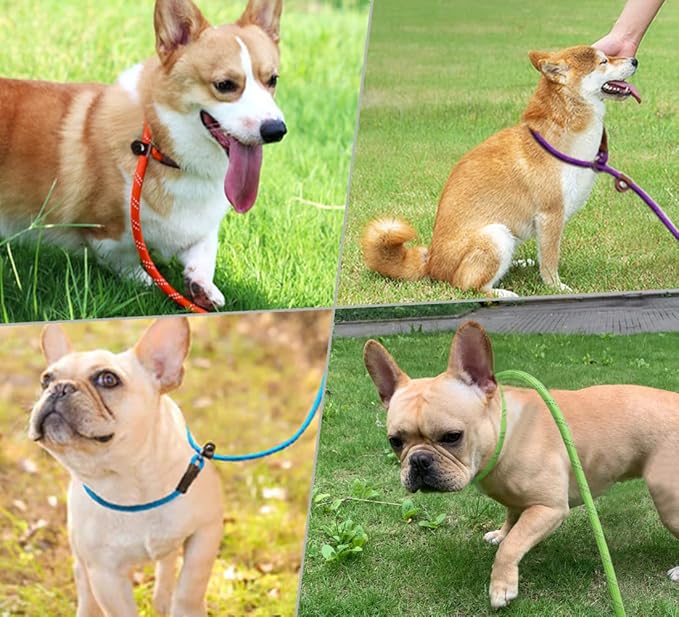 WYUZE 8ft Slip Lead Dog Leash, Reflective No Pull Dog Training Lead, 1/3" Nylon Rope Slip Control Leash for Small Medium Dogs, Red