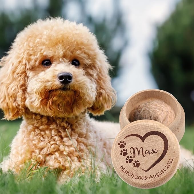 Wooden Dog Memorial Box, Pet Keepsake Box with Pet Paw Engraving Tooth and Hair Case Urn Memorial Gift (Cutom Pet Name)