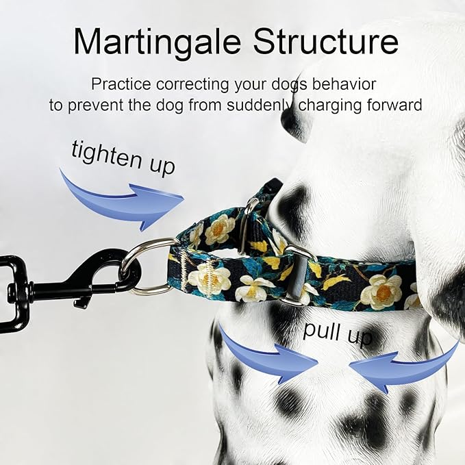 Martingale Collar for Dogs Floral Dog Collars for Small Medium Large Dogs with Buckle Adjustable Soft Nylon Dog Collar (Luxury Golden Flowers, Large)