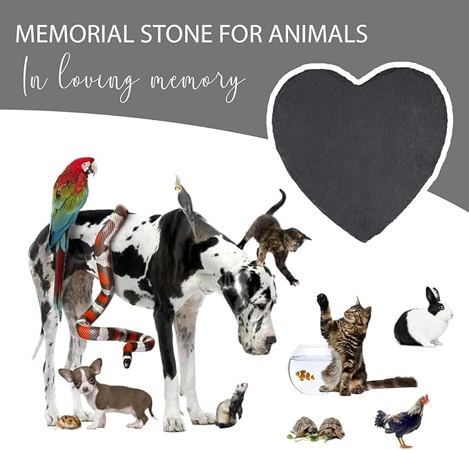 Personalized Pet Bearded Dragon Memorial Stone, Customized Bearded Dragon Grave Markers with Photo Name Dates, Bearded Dragon Headstone Tombstone Gravestone, Bearded Dragon Memorial Gifts